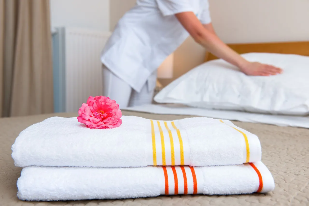 Servizi di Pulizia per Alberghi, Hotel e Strutture Ricettive a Roma